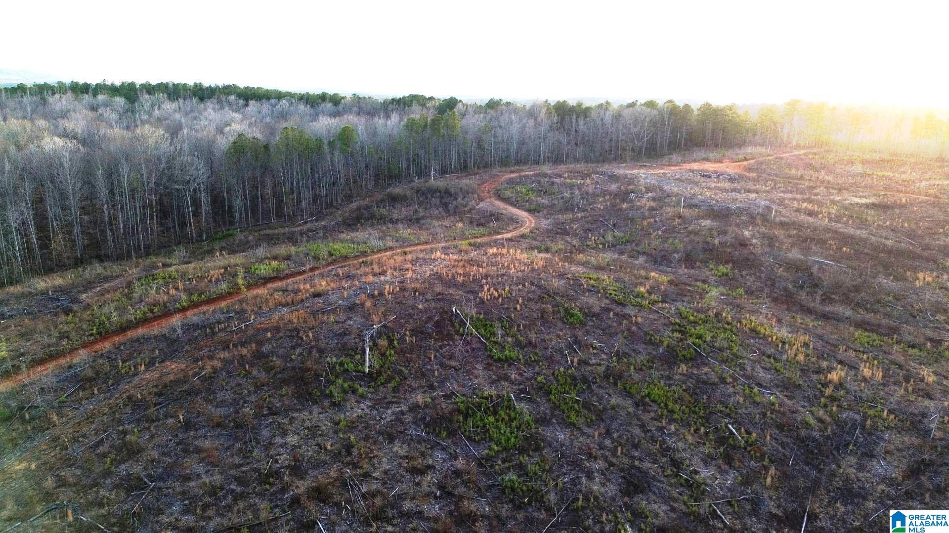 Walker Road, Unit 103 5 Lineville, AL 36266 - Photo 15 of 26