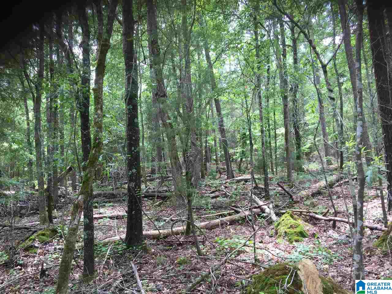 Black Acres Road, Unit 34 Odenville, AL 35120 - Photo 10 of 19