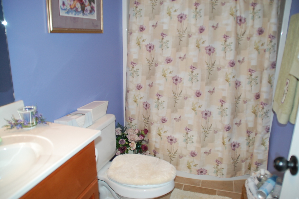 58 Bernard Road Rocky Mount, VA 24151 - Photo 10 of 19 Bathroom