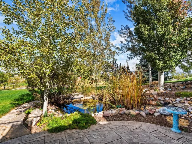 a view of a pathway with a tree
