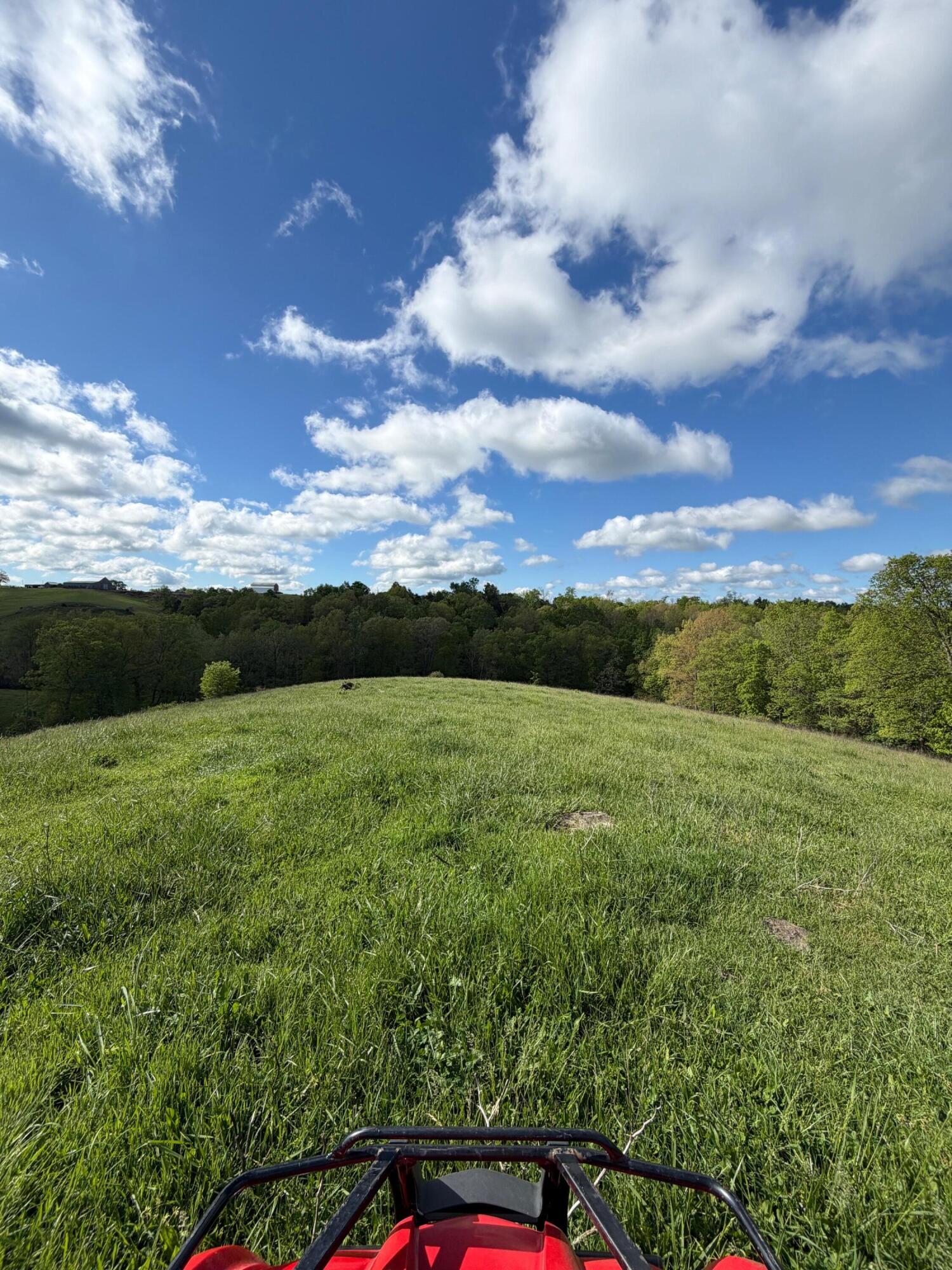 14.17-ac Chipman Ridge Road Williamstown, KY 41097 - Photo 9 of 18