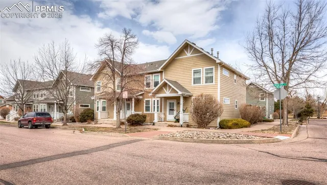 a street view with large trees