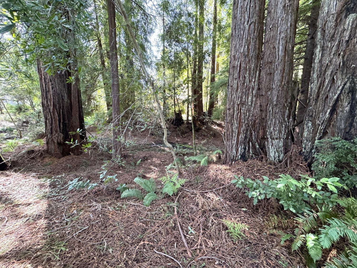 43300 Little River-Airport Road, Unit 35 Little River, CA 95456 - Photo 21 of 23 a backyard of a house with lots of green space