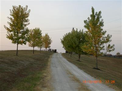 1315 Ashby Road Lawrenceburg, KY 40342 - Photo 19 of 26 Photo 20