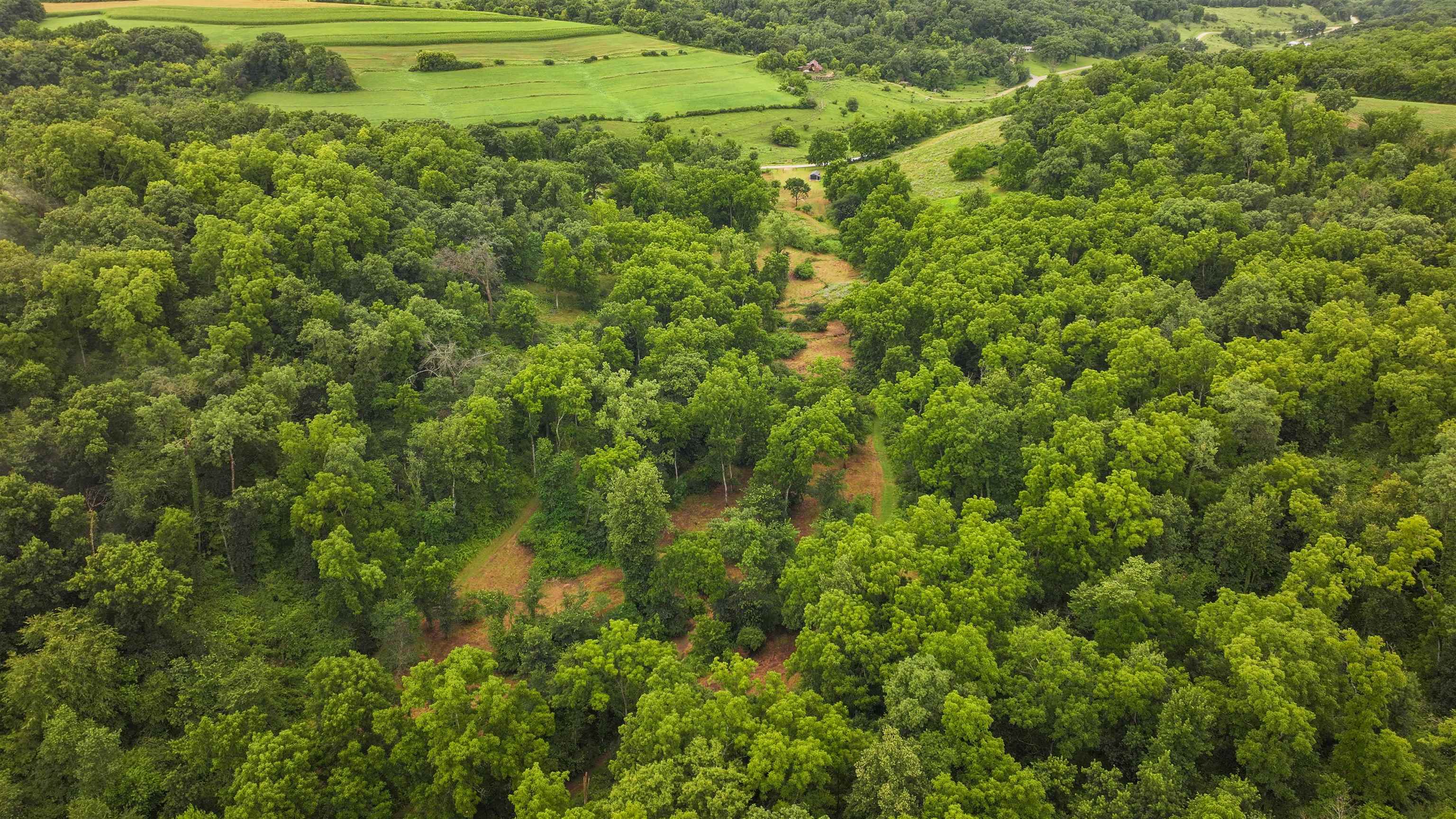 75-acres Cannon Road Lancaster, WI 53813 - Photo 10 of 59