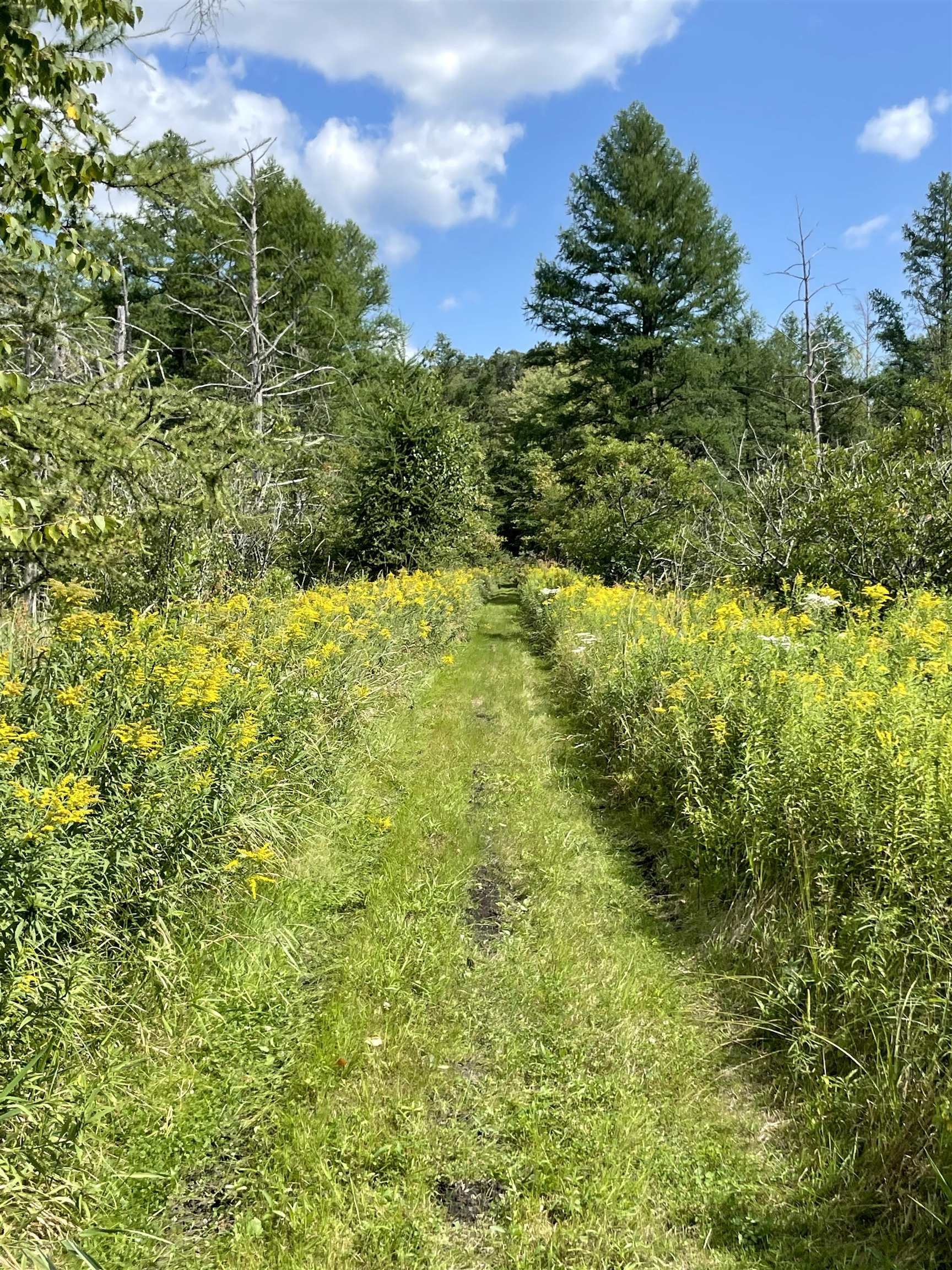 N5889 Soda Road Princeton, WI 54968 - Photo 72 of 76