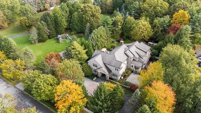a view of a garden with lawn chairs under an umbrella