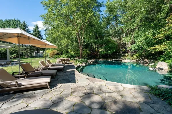 a view of a patio with couches and table and chairs under an umbrella with large trees