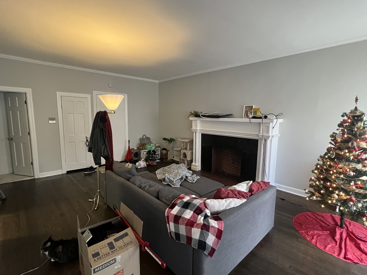7661 North Sheridan Road Chicago, IL 60626 - Photo 10 of 19 a living room with furniture and a fireplace
