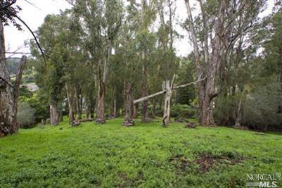 0 Montecito Road San Rafael, CA 94901 - Photo 1 of 1 a view of a lush green forest