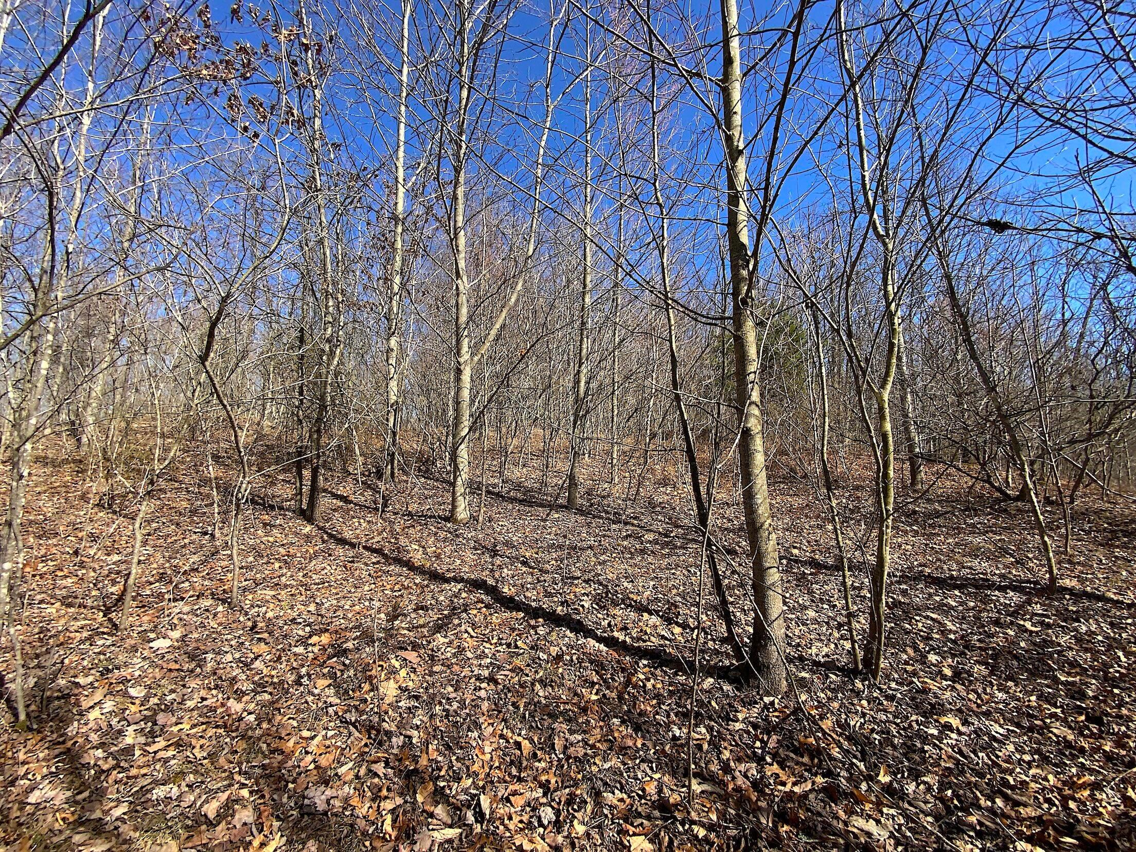 0 Kelly Road Ray, OH 45672 - Photo 2 of 46 Vinton County Kelly Rd 1