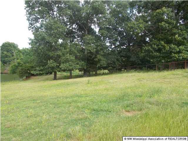 2358 Bethel Road Coldwater, MS 38618 - Photo 11 of 14 Additional Photo