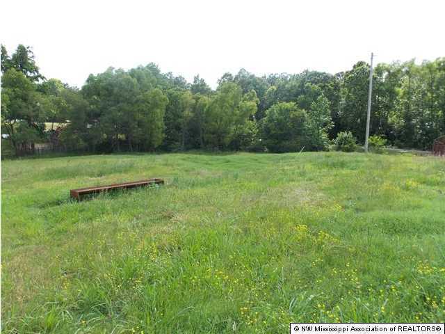 2358 Bethel Road Coldwater, MS 38618 - Photo 10 of 14 Additional Photo