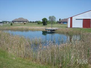 1833 Benore Road Erie, MI 48133 - Photo 10 of 10 pond