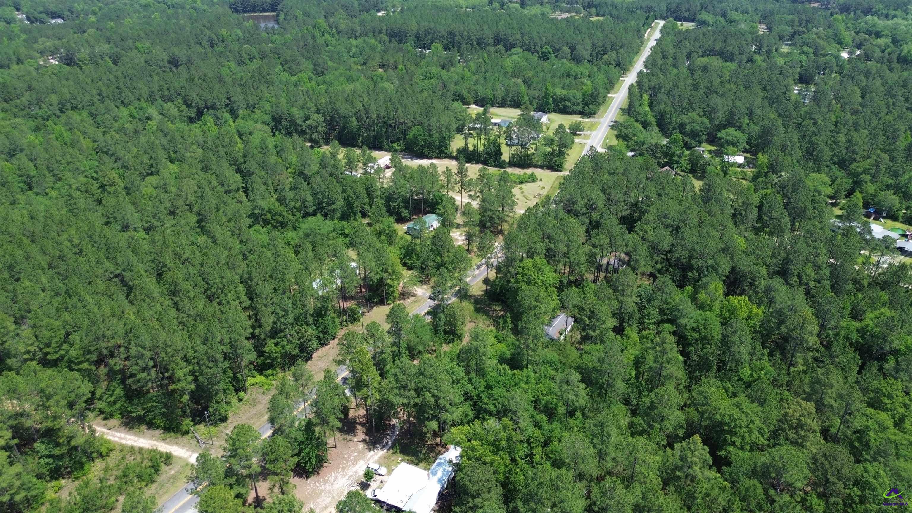 Rock Hill Road Cochran, GA 31014 - Photo 3 of 26 a view of a forest with a building