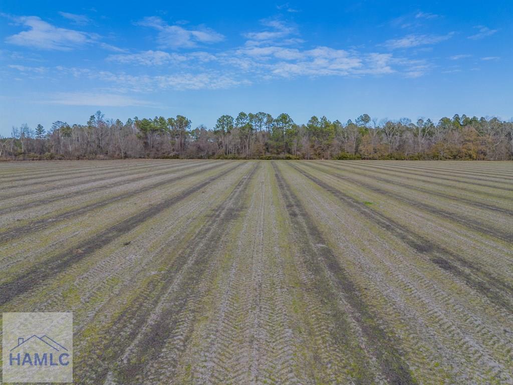 3 Reddish Road Screven, GA 31560 - Photo 22 of 55 Gallery Image 22