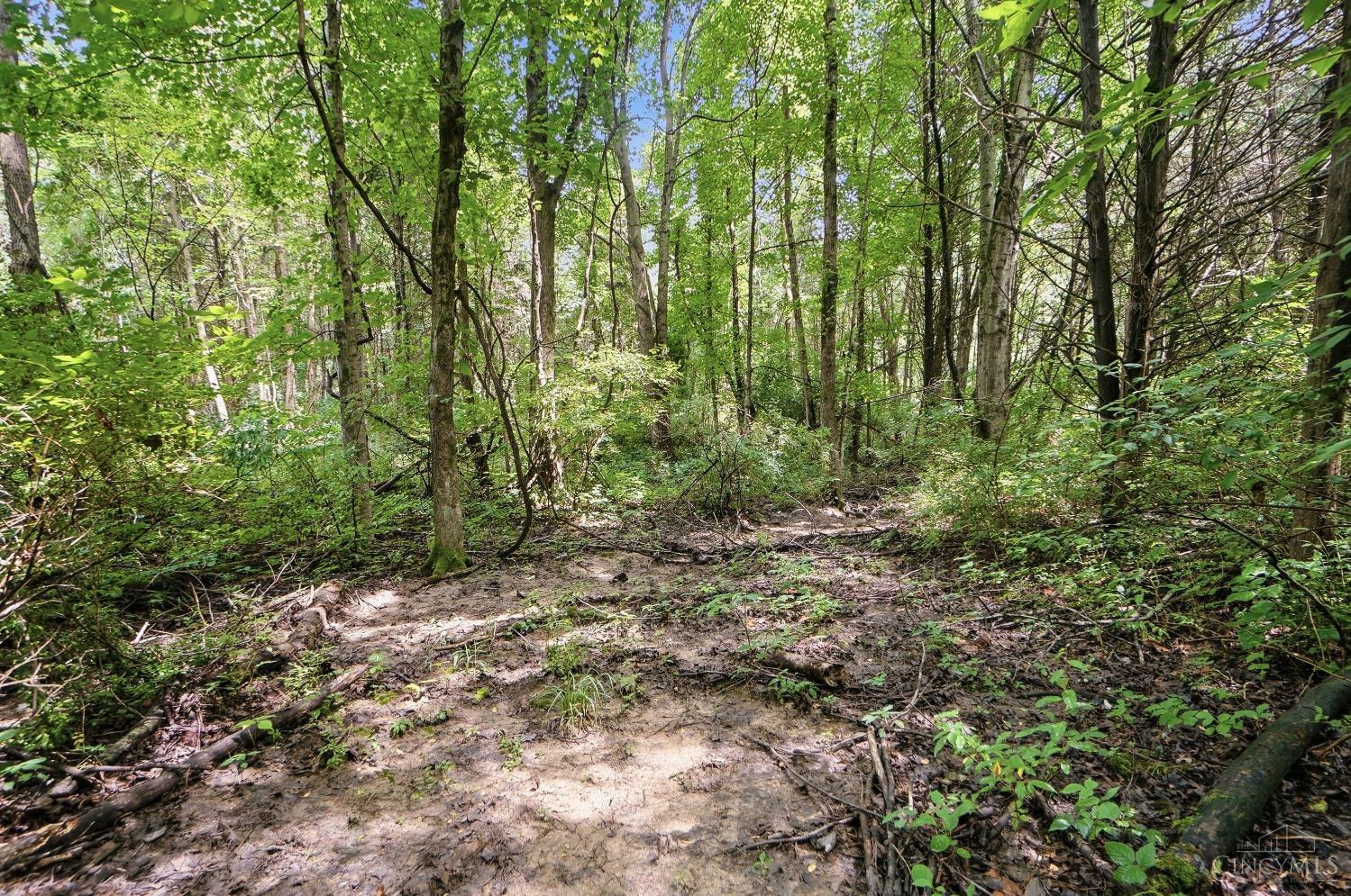 6654 Osceola Road Morrow, OH 45152 - Photo 56 of 58