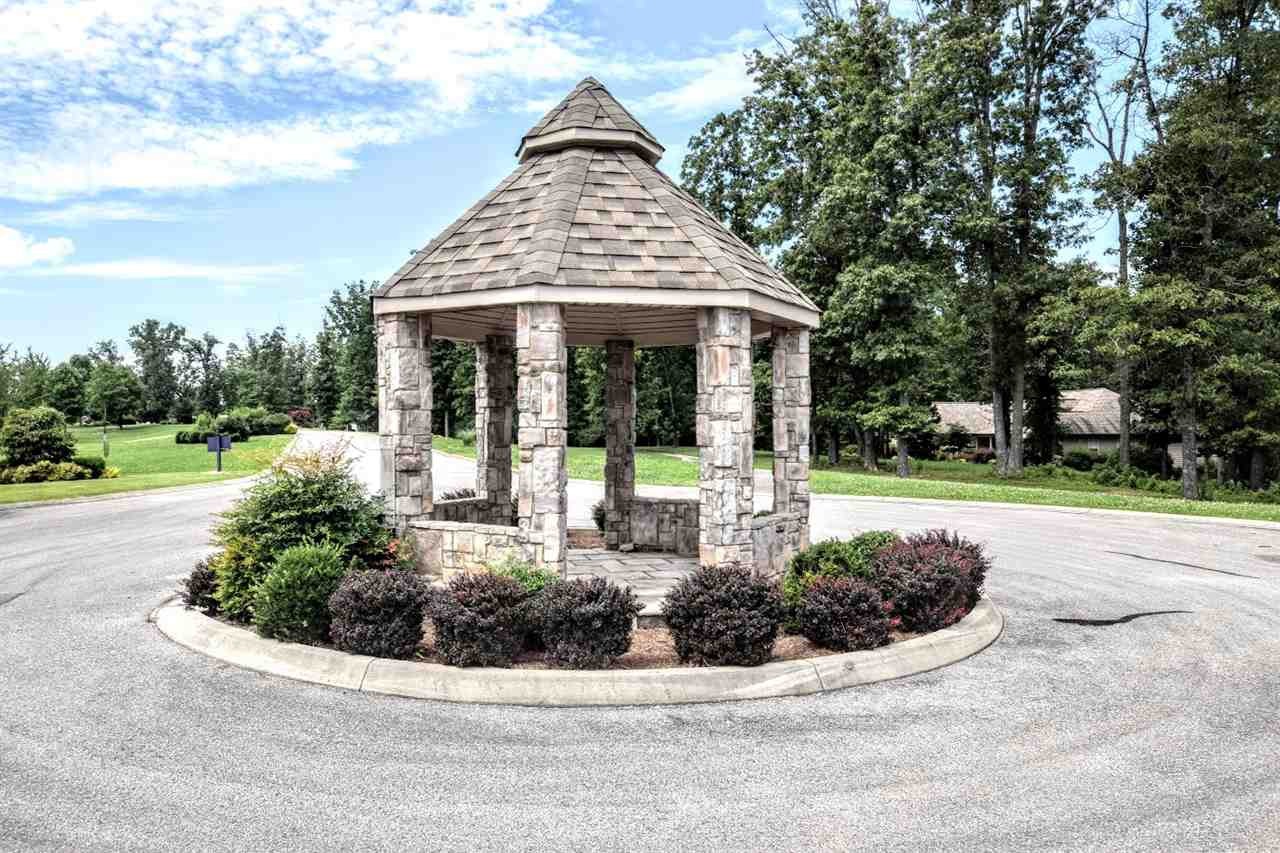 596 Waterfront Way Spring City, TN 37381 - Photo 6 of 19 Gallery Image 6