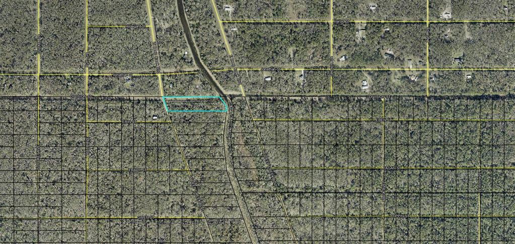 Xxx Division Street Hastings, FL 32145 - Photo 1 of 1