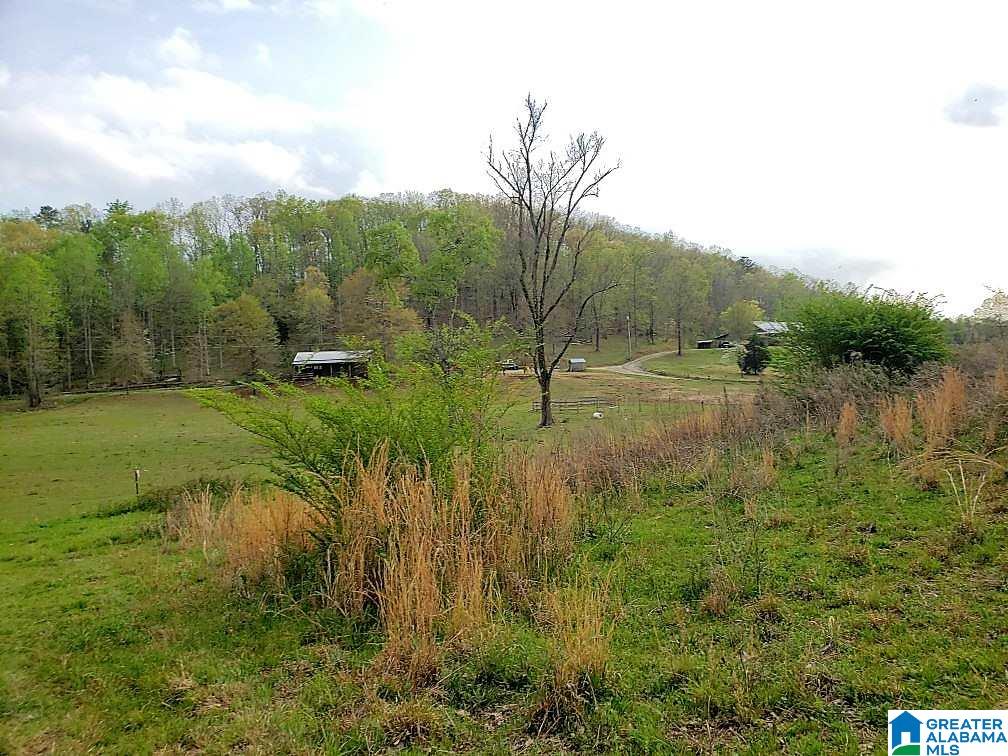 889 Hunter Road Ohatchee, AL 36271 - Photo 39 of 44