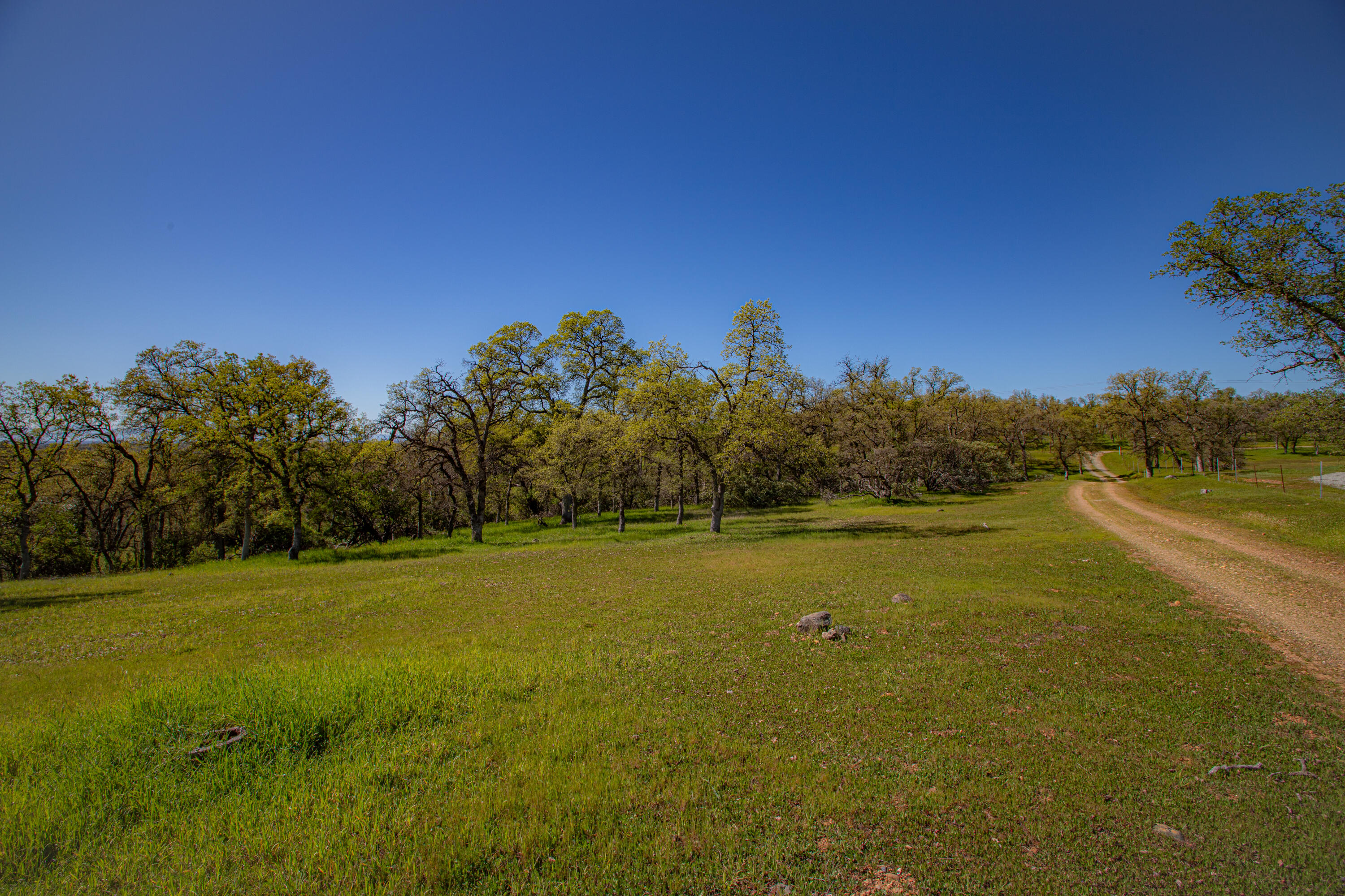 8822 Bass Pond Road Millville, CA 96062 - Photo 3 of 46 Bass Pond-02
