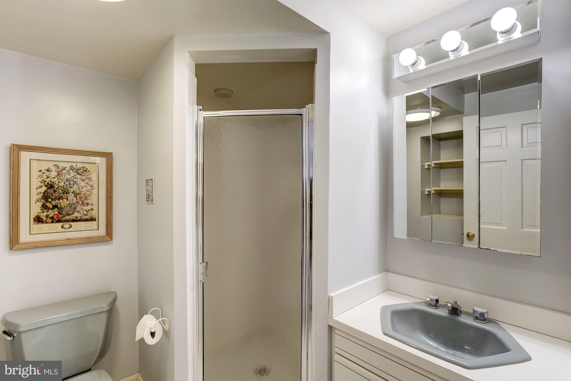 7913 Foxhound Road McLean, VA 22102 - Photo 27 of 37 Lower Level Full Bath