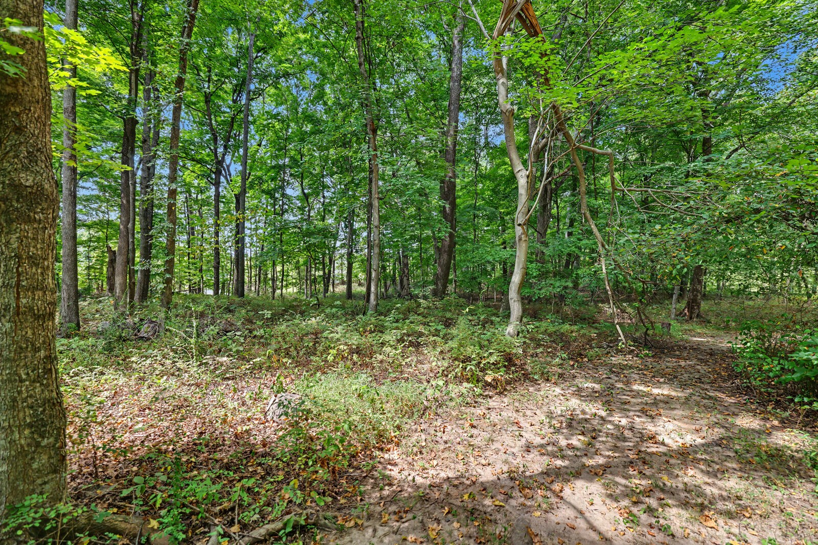 1000 Charlie Reed Road Chapmansboro, TN 37035 - Photo 58 of 77 Gallery Image 58