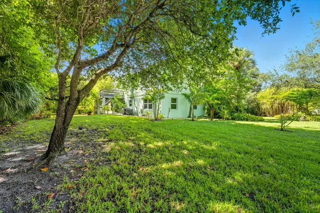 a view of a park with a tree
