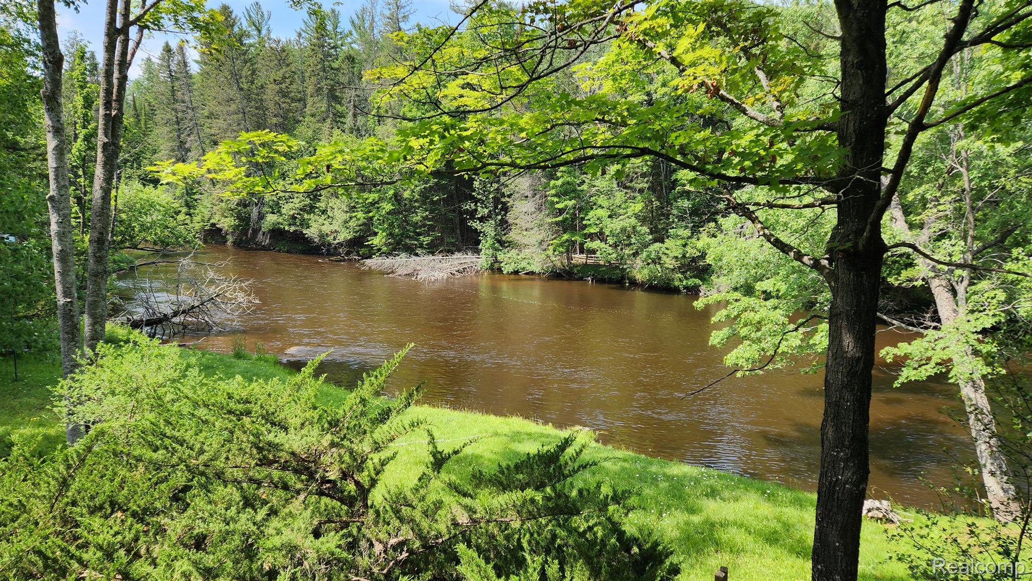 8734 South County Line Road Onaway, MI 49765 - Photo 43 of 56 River view