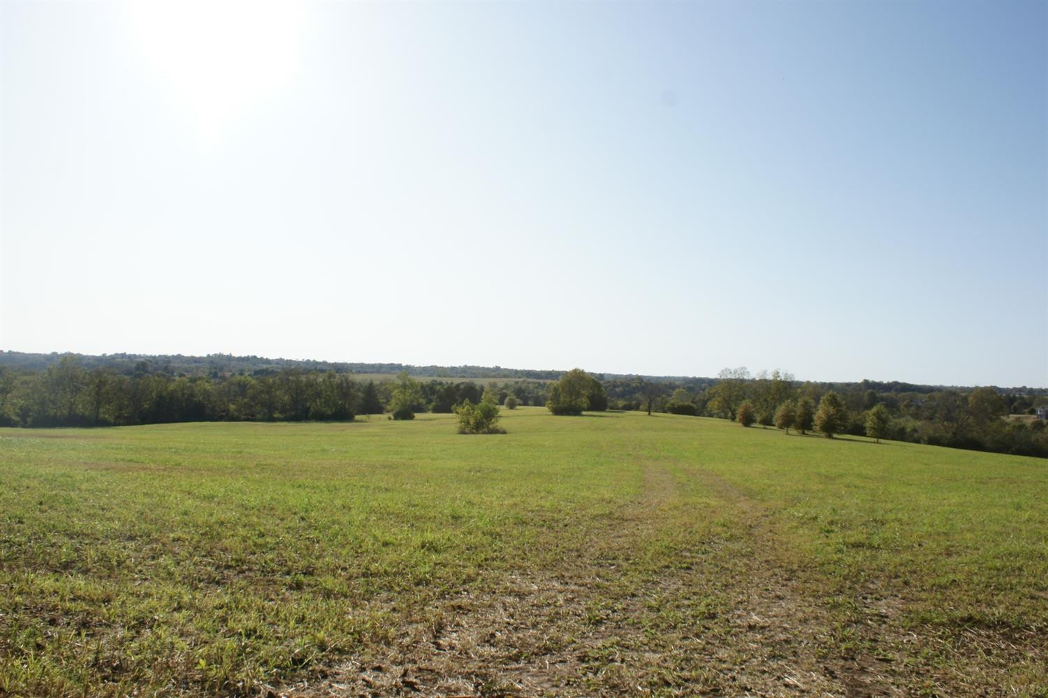 475 Grimes Mill Road Lexington, KY 40515 - Photo 2 of 11 Photo 2