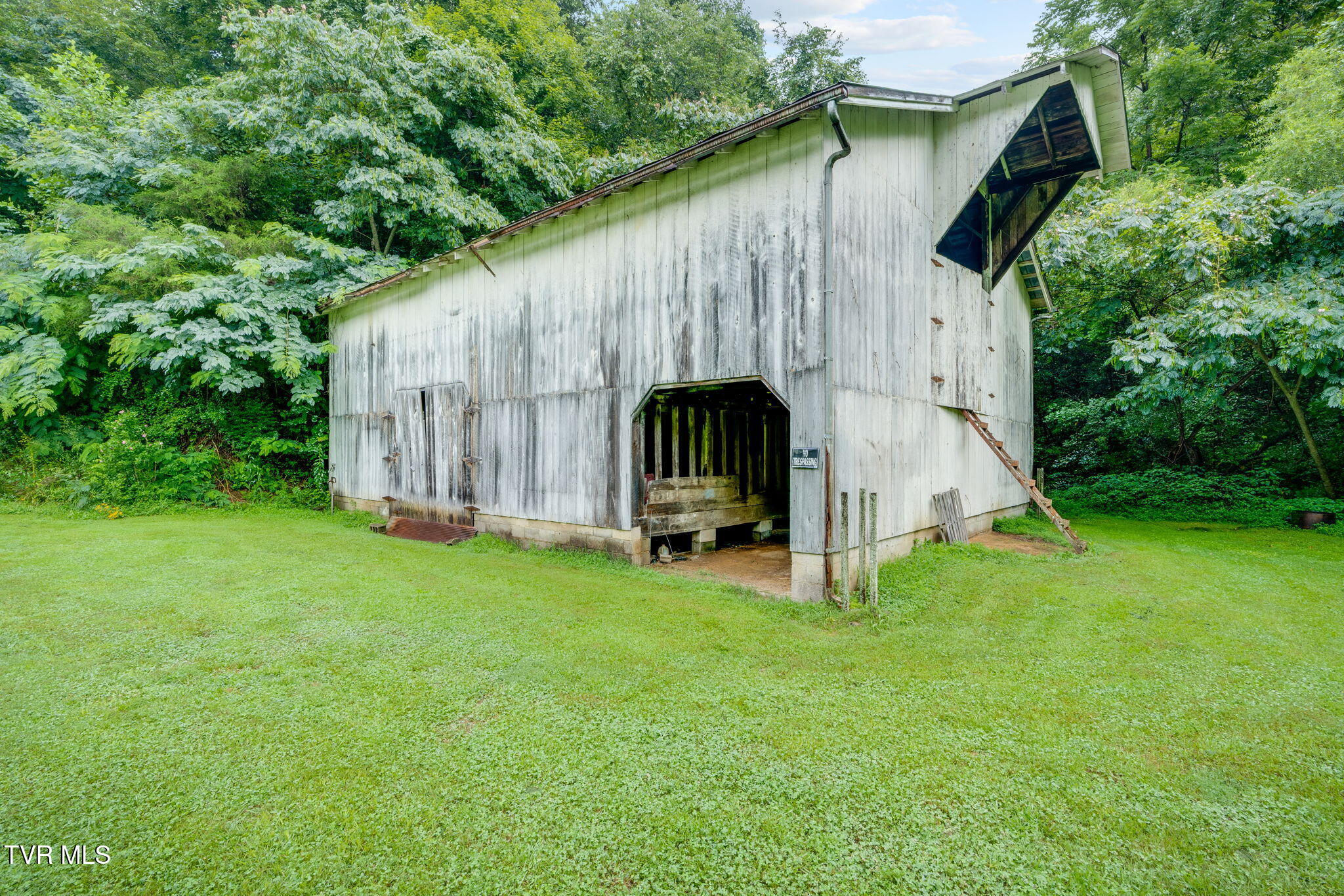 4960 Canton Road Blackwater, VA 24221 - Photo 3 of 44 025
