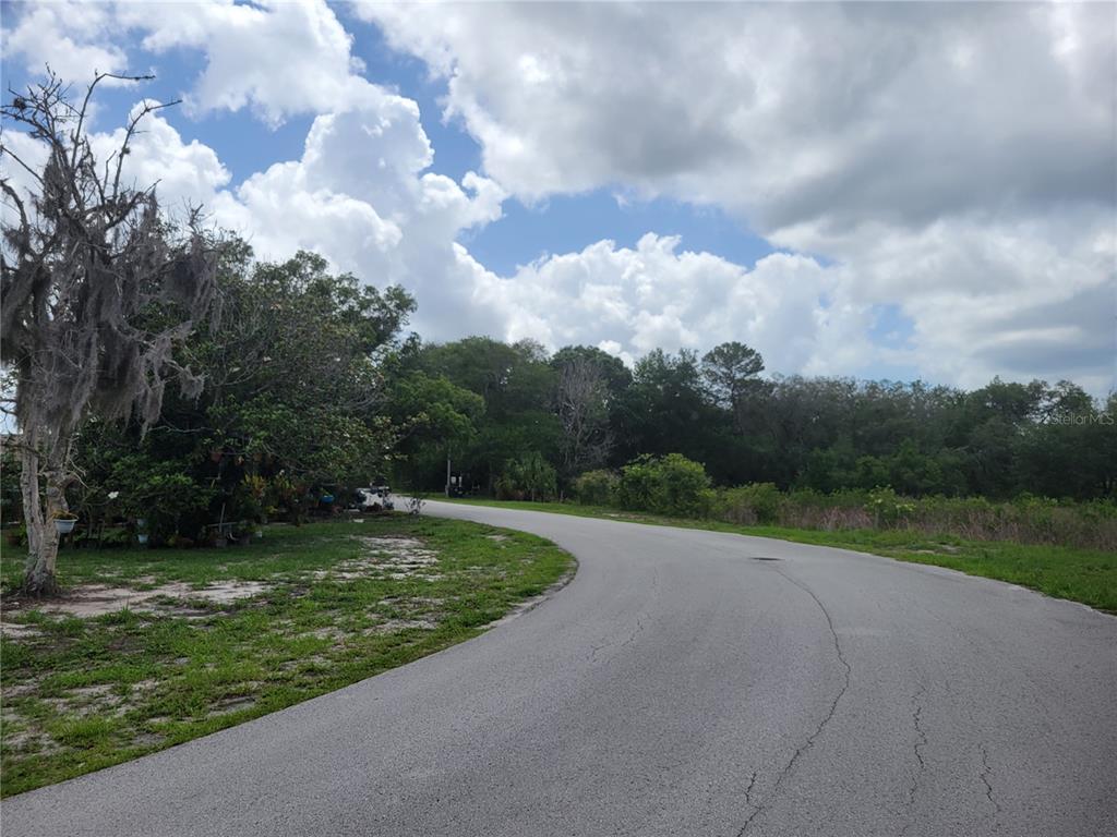 9022 Lingrove Road Weeki Wachee, FL 34613 - Photo 49 of 50