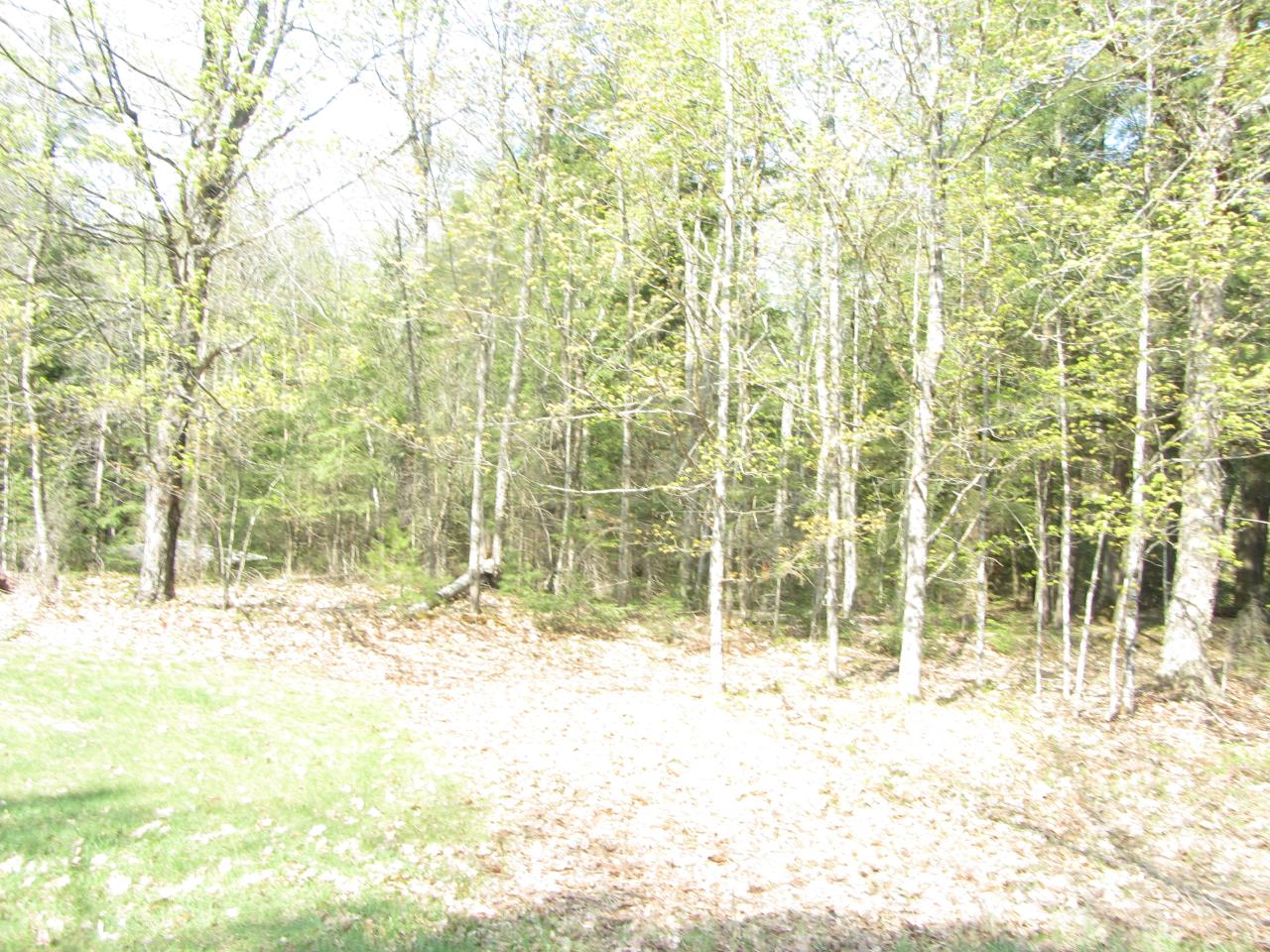 10-ac On Deerskin Road Phelps, WI 54554 - Photo 11 of 12 Gallery Image 11