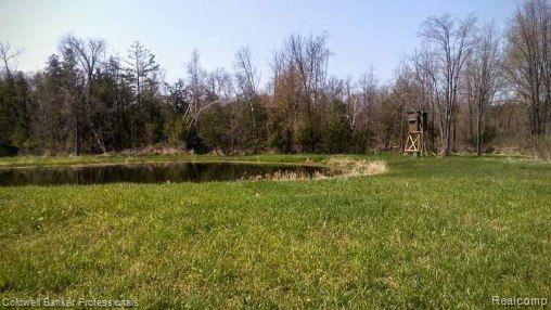 0 Martus Rd Branch North Branch, MI 48461 - Photo 7 of 10