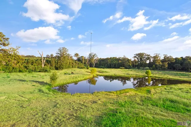 $599,000 | 6919 Andrews Lane, Clinton, LA 70722