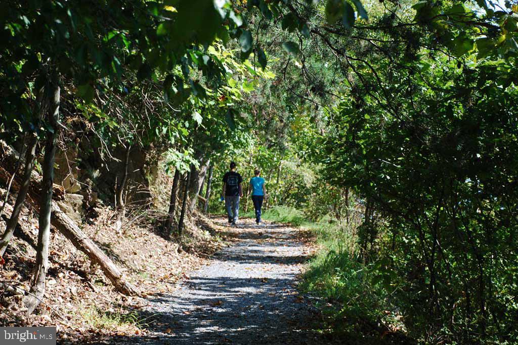 7122 Saddle Road New Market, MD 21774 - Photo 49 of 53 Lake Linganore HikingTrails
