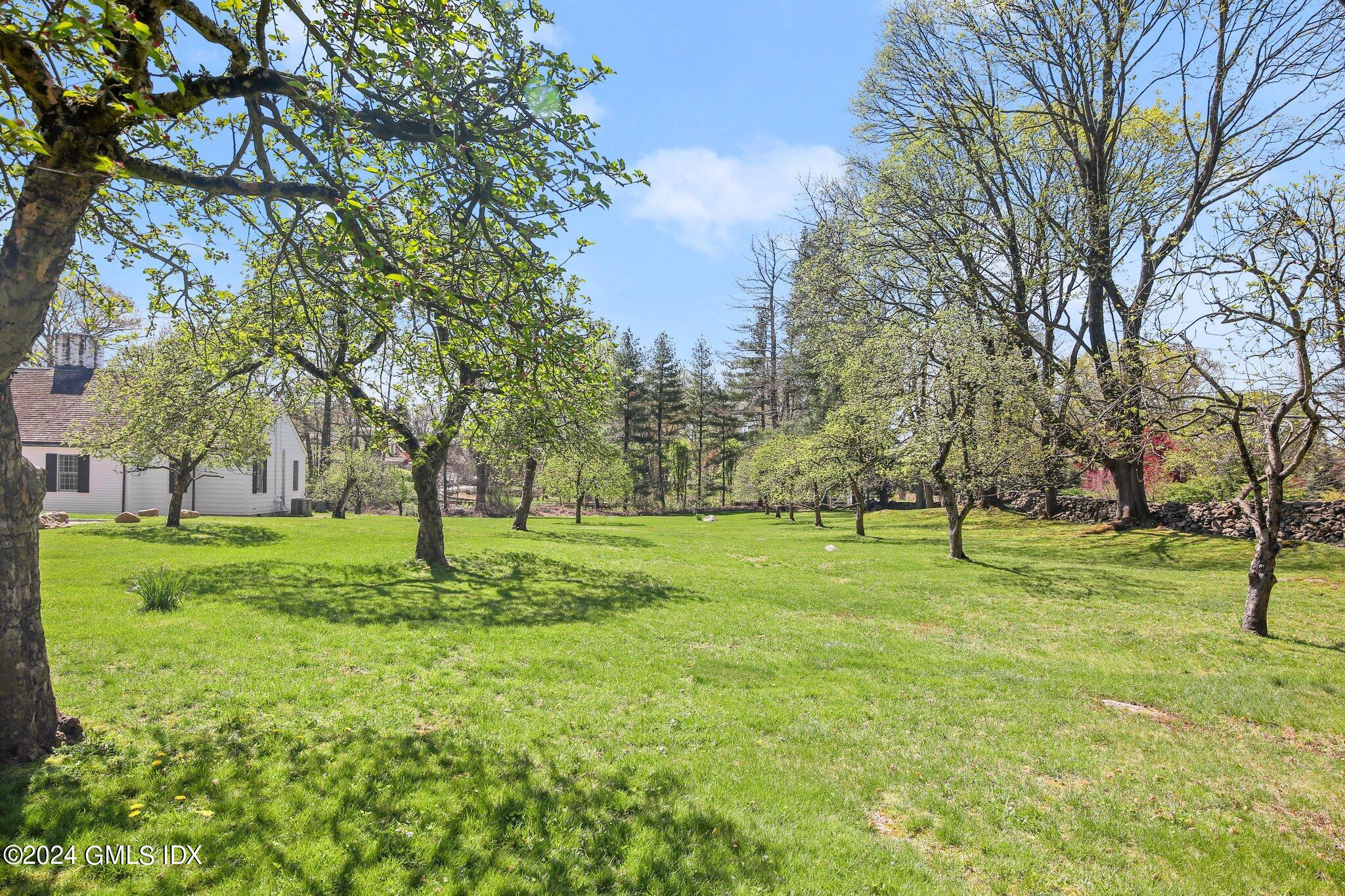 69 Clapboard Ridge Road Greenwich, CT 06830 - Photo 16 of 40 a view of yard with trees