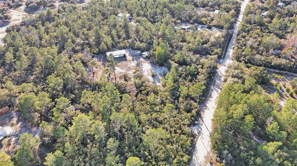 27130 Fishermans Road Paisley, FL 32767 - Photo 43 of 52