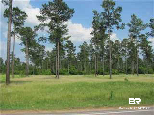 0 Wilmer Tanner Williams Road Wilmer, AL 36587 - Photo 4 of 4