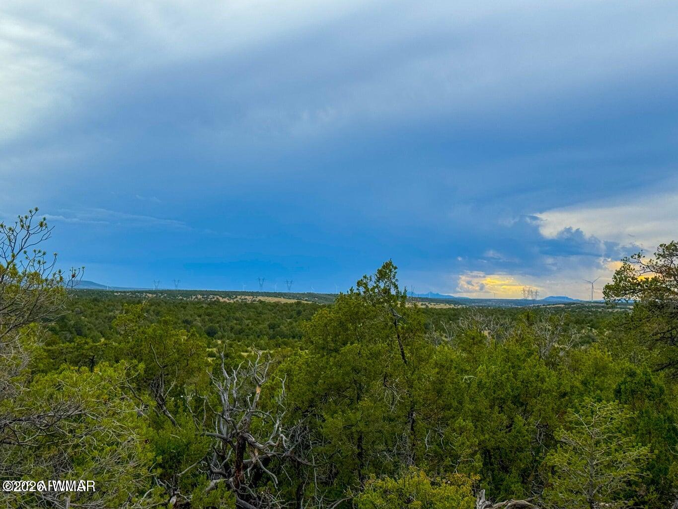 132 East Sidewinder Road Williams, AZ 86046 - Photo 3 of 14