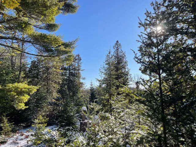 $225,000 | 0 Juniper Ledge Road, Bar Harbor, ME 04609