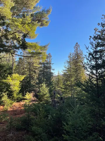 $225,000 | 0 Juniper Ledge Road, Bar Harbor, ME 04609