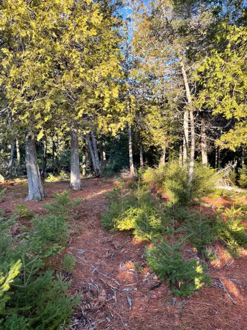 $225,000 | 0 Juniper Ledge Road, Bar Harbor, ME 04609