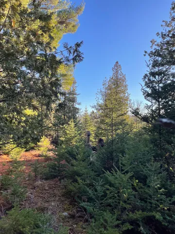 $225,000 | 0 Juniper Ledge Road, Bar Harbor, ME 04609