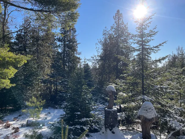 $225,000 | 0 Juniper Ledge Road, Bar Harbor, ME 04609