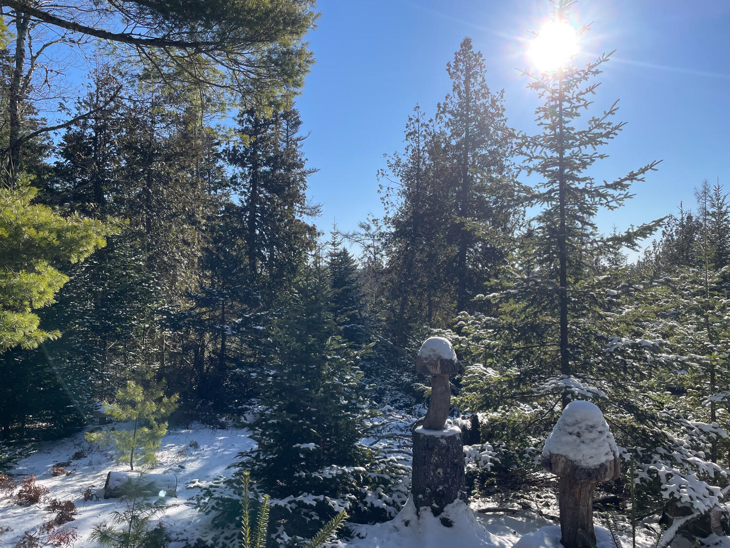 0 Juniper Ledge Road Bar Harbor, ME 04609 - Photo 7 of 14 IMG_1161