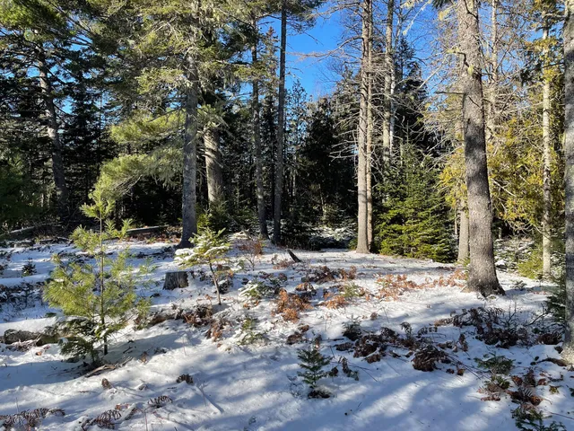 $225,000 | 0 Juniper Ledge Road, Bar Harbor, ME 04609
