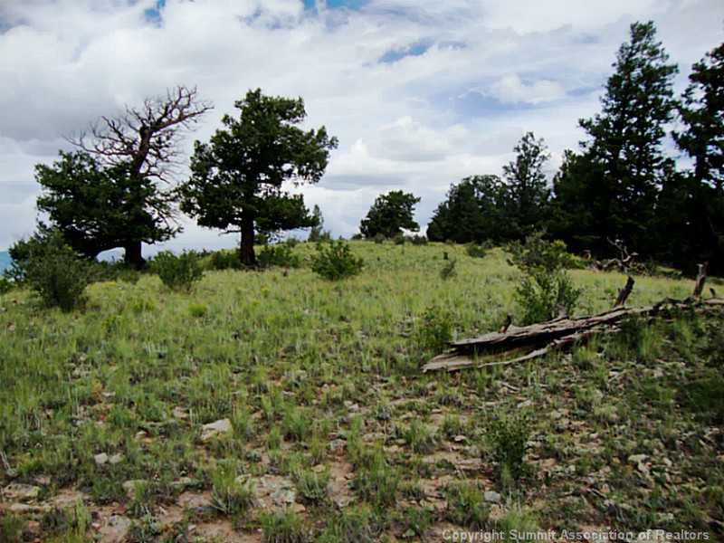 174 Ridge Road Fairplay, CO 80440 - Photo 10 of 25 Land/Lot.