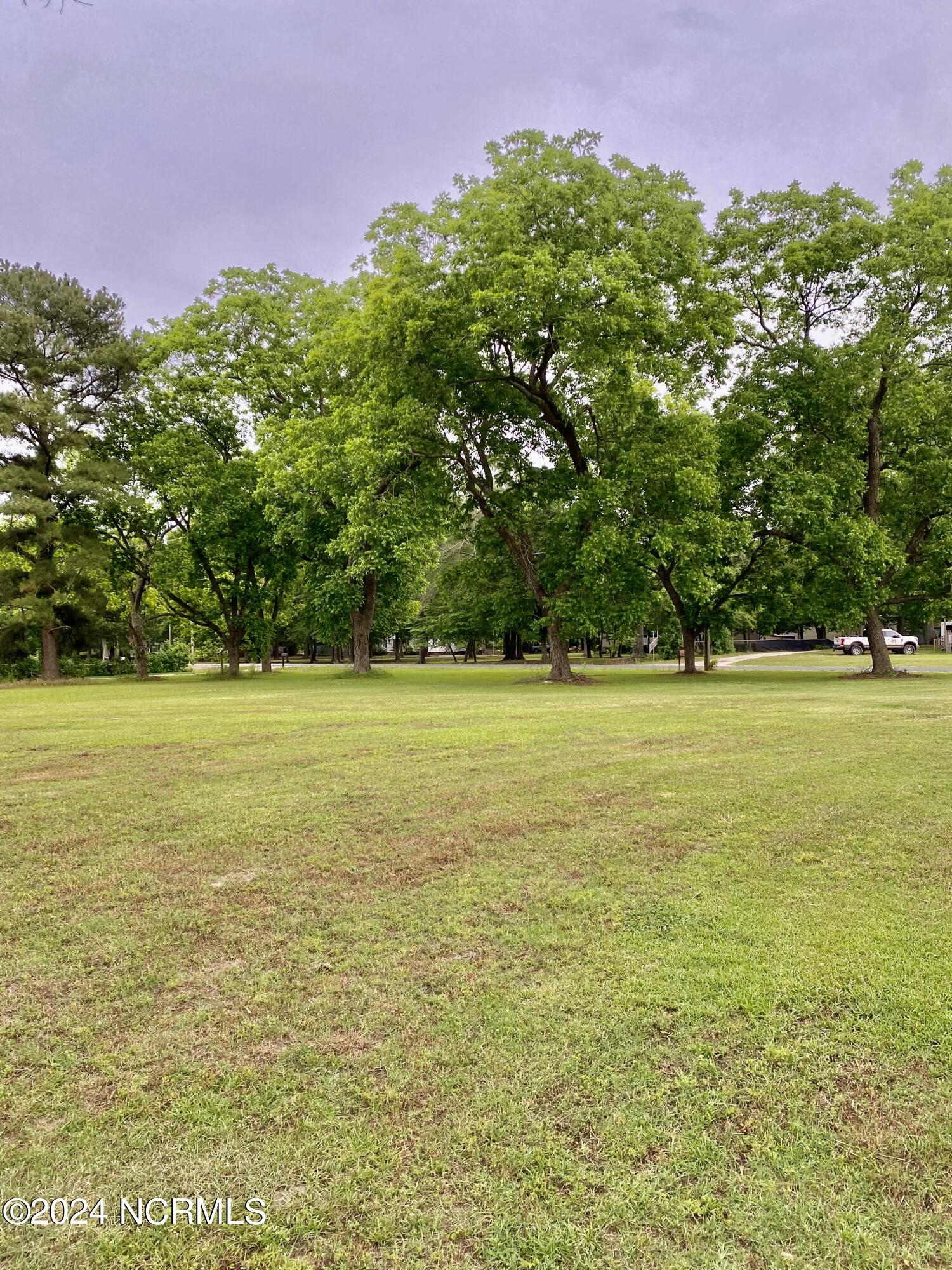 1687 Rams Horn Road Greenville, NC 27834 - Photo 24 of 26 Pecan Grove