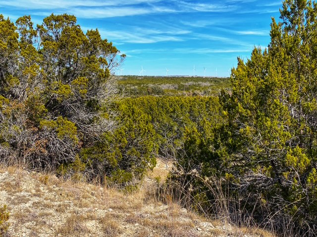 0 County Road 2699 Lometa, TX 76853 - Photo 14 of 35 a view of a field with an outdoor space
